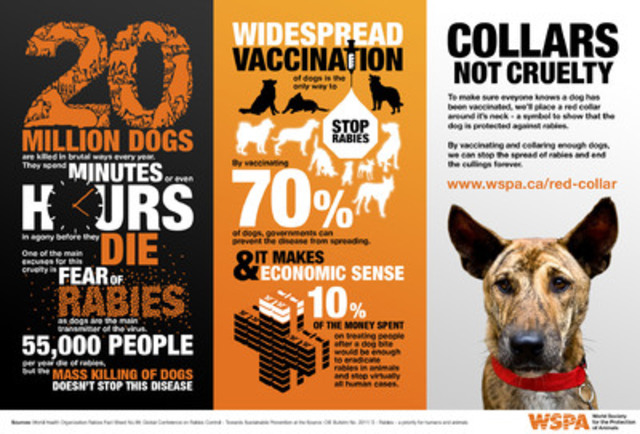 COLLARS NOT CRUELTY in the fight against rabies